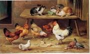 unknow artist Cocks and rabbits 130 Germany oil painting artist